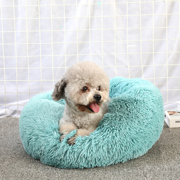 dog bed dog bed