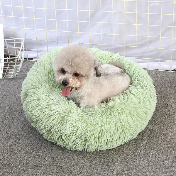 dog bed