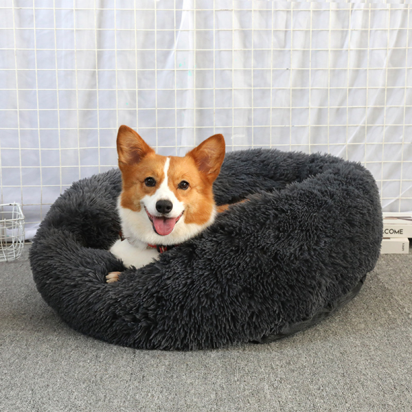 dog bed