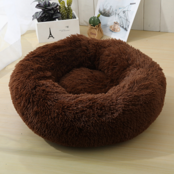 dog bed