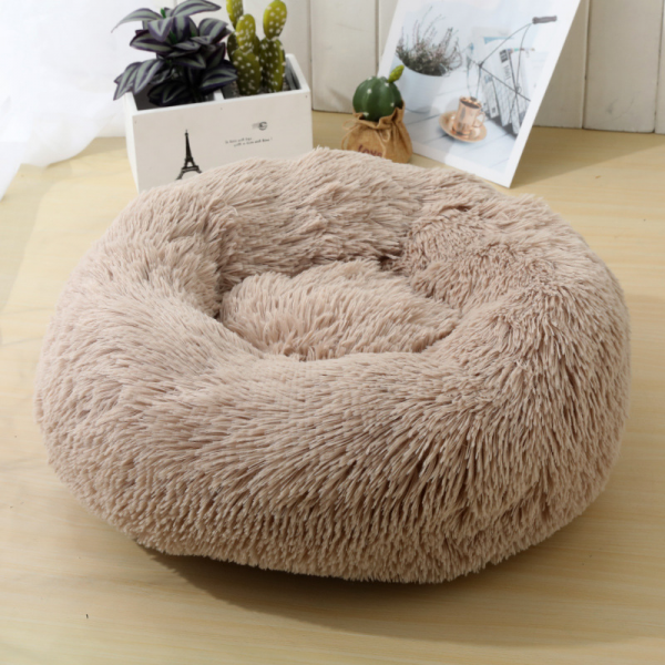 dog bed