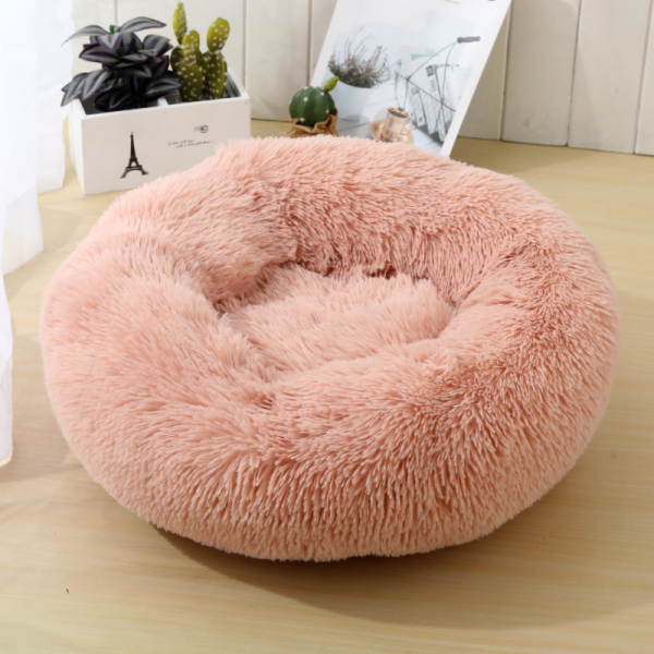 dog bed